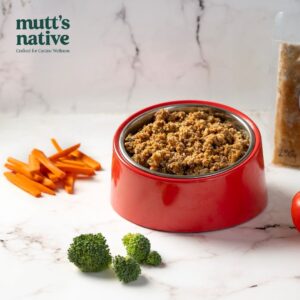 Beef Recipe