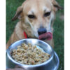 Chicken Recipe - Image 7
