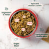 Mutton Recipe - Image 4