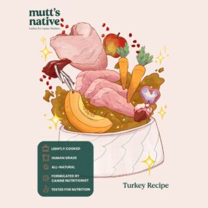 Turkey Recipe