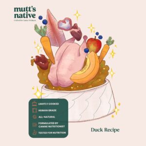 Duck Recipe
