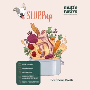 Beef Bone Broth 175ml