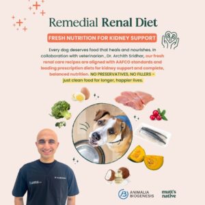 Renal Turkey Recipe