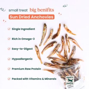 Sun Dried Anchovies